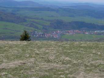 Blick auf Seiferts